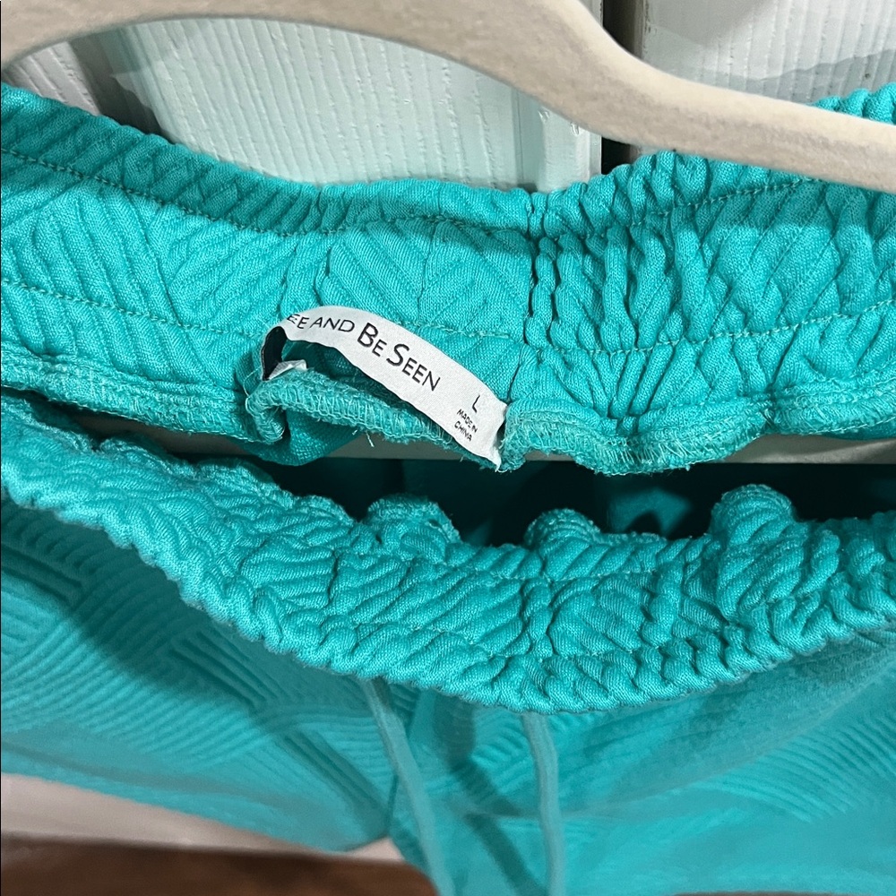 See And Be Seen Teal Polo Shirt and Shorts Set - Picture 4 of 6